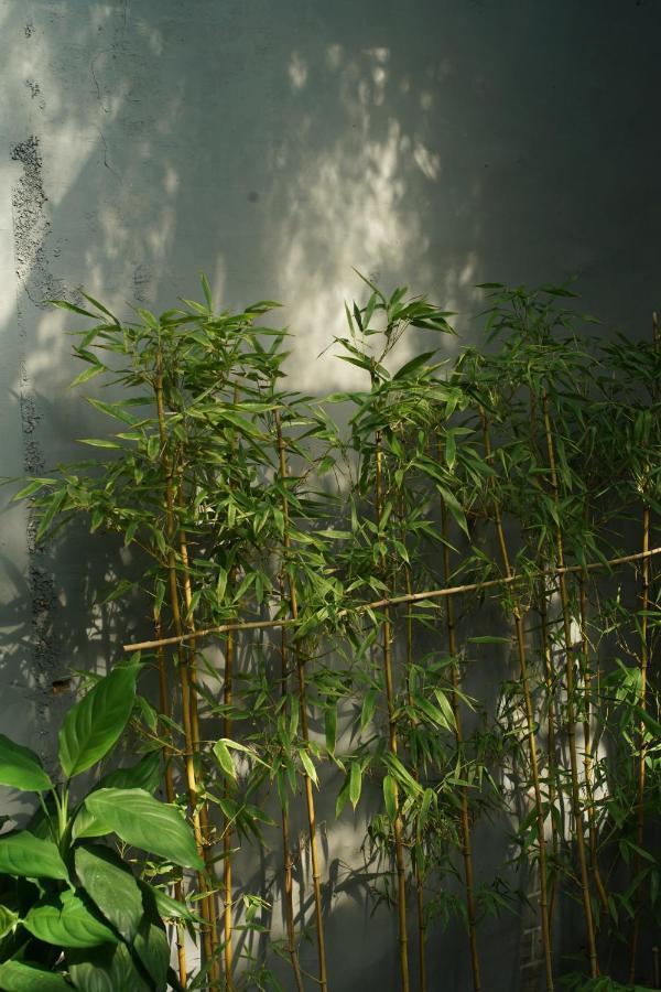 Beijing Yue Bin Ge Courtyard Hotel Extérieur photo